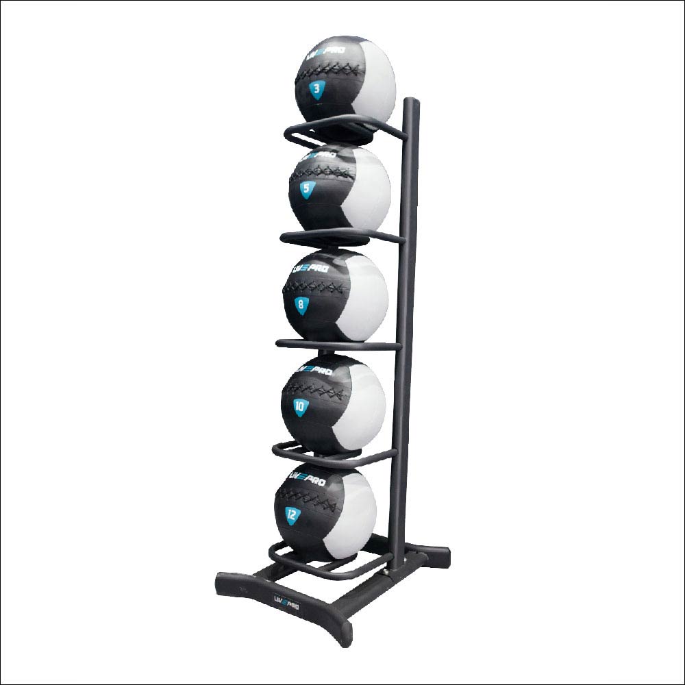 заказать Стойка для медицинских набивных мячей LIVEPRO Wall ball rack