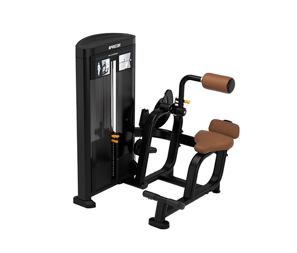 Заказать Силовой тренажер Разгибание спины PRECOR RSL313