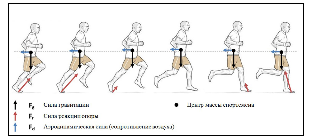 Бег с TrueForm