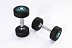 Заказать Гантели в уретане LIVEPRO Studio Dumbbells - фото №1