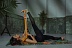 Заказать Ремень для йоги INEX Stretch Strap 240 см - фото №11