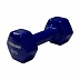 Заказать Гантели для аэробики в виниловой оболочке FOREMAN IVD-KG - фото №8