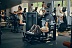 Заказать Ягодичный мостик GLUTEBUILDER Hip Thrust Elite GSL612 - фото №4