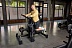 Заказать Изолированная тренировка ягодиц PRECOR Glutebuilder KNEELING GLUTE ISOLATOR GPL363 - фото №5